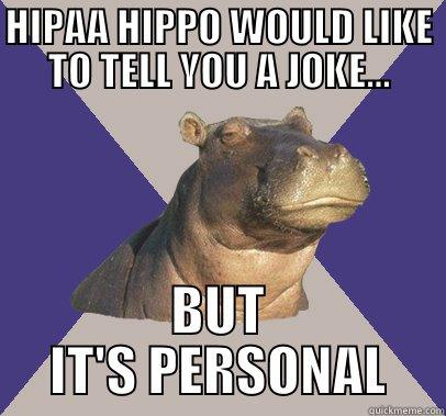 hippa hippo in social media
